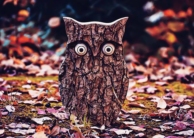 Wooden owl and dead leaf