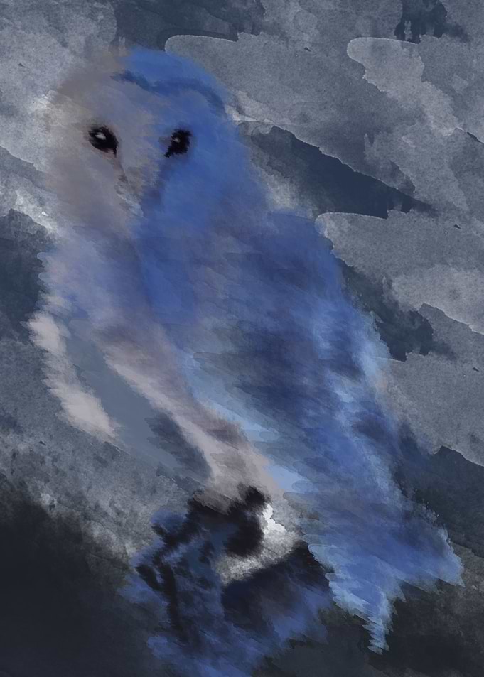 owl