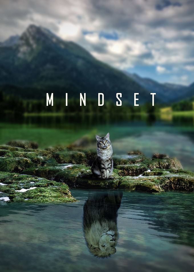 Mindset Is Everything