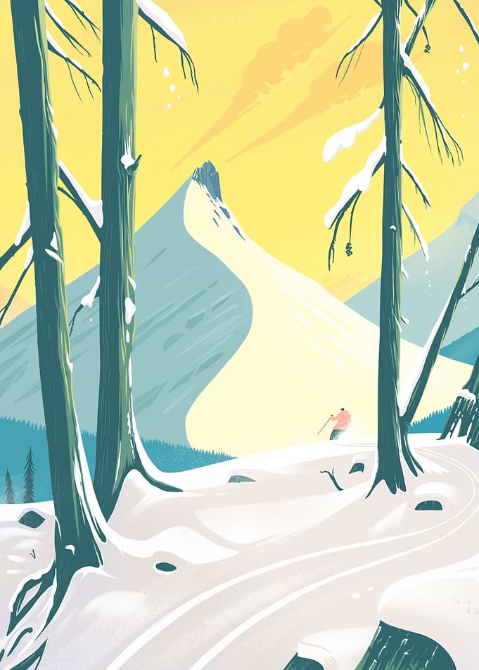 The Quiet Of The Woods