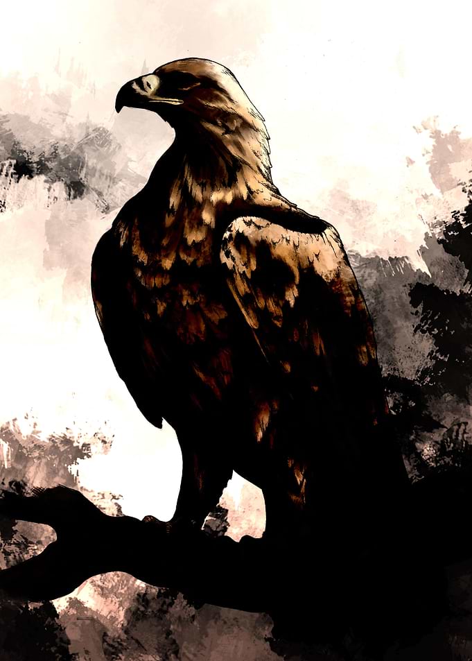King of the Skies