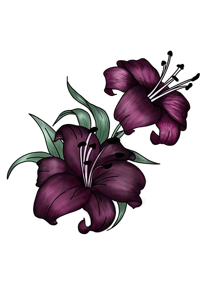 Purple Lilies