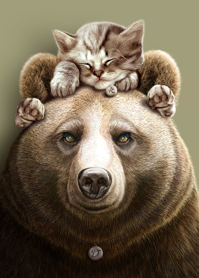 CAT ON BEAR