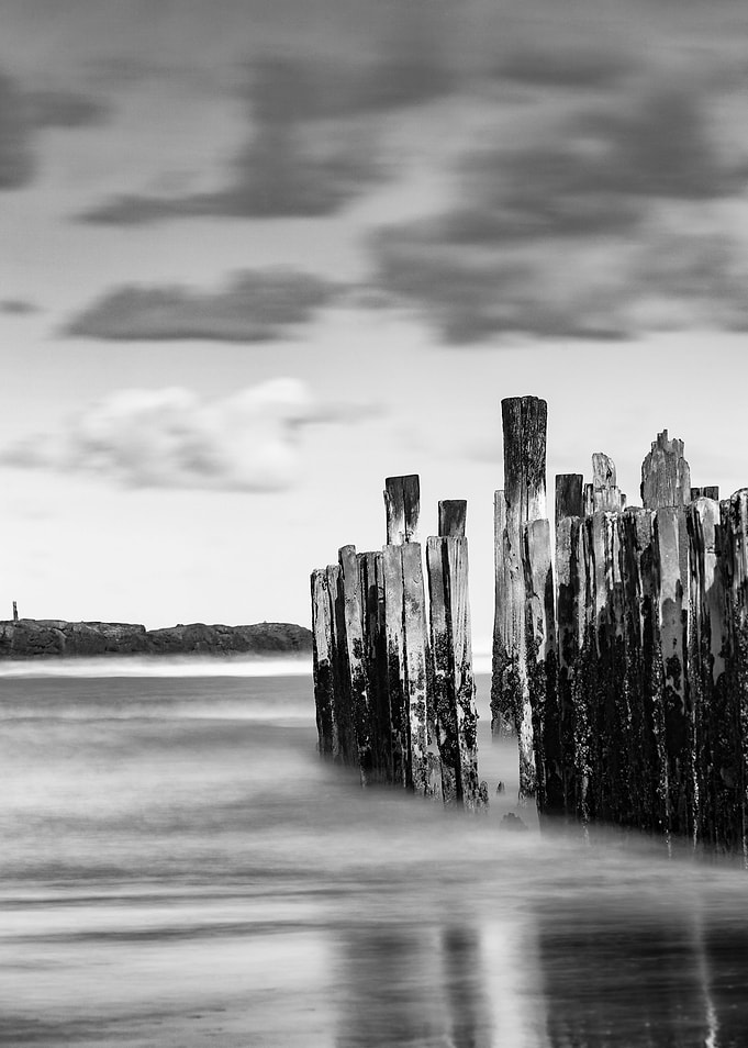 Sentinels