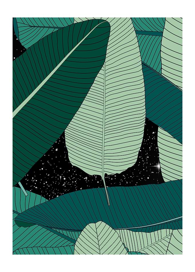 Galaxy Nature