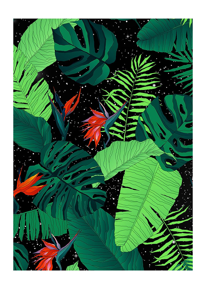 Galaxy Nature