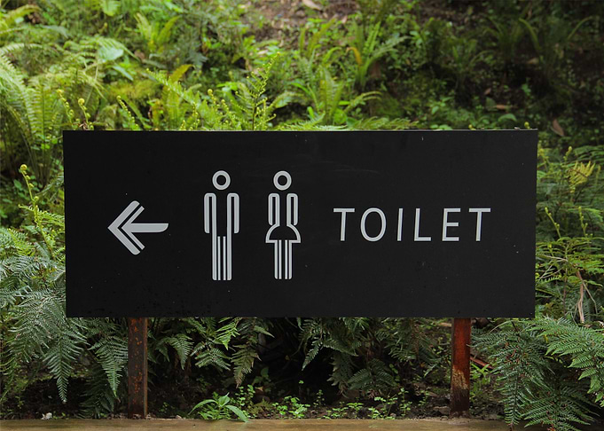 gender toiled