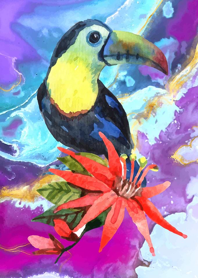 Tropical birds