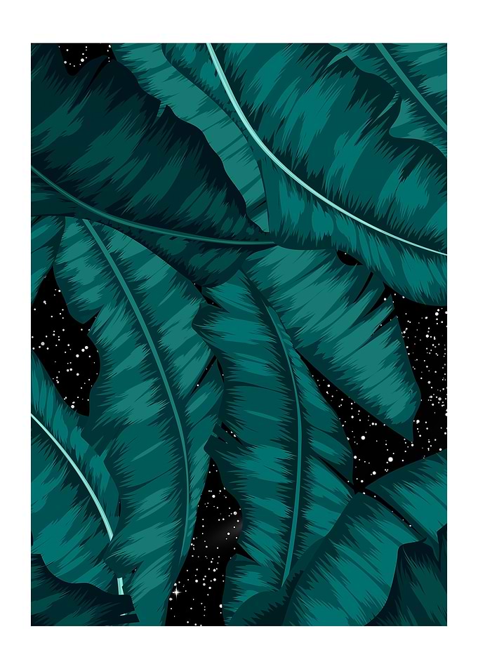 Galaxy Nature