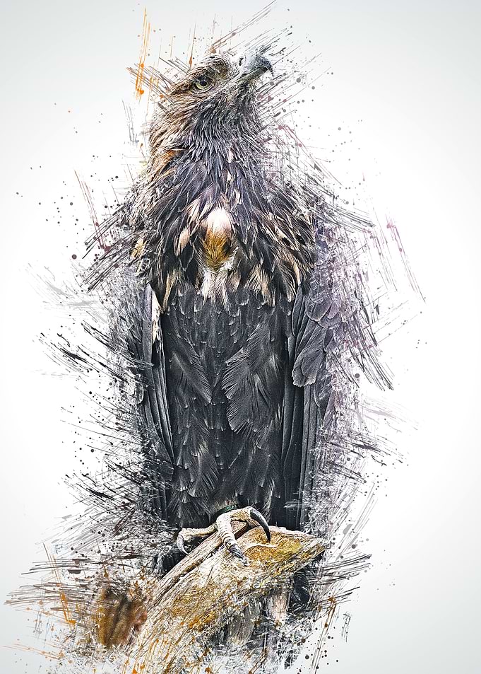 Eagle 2