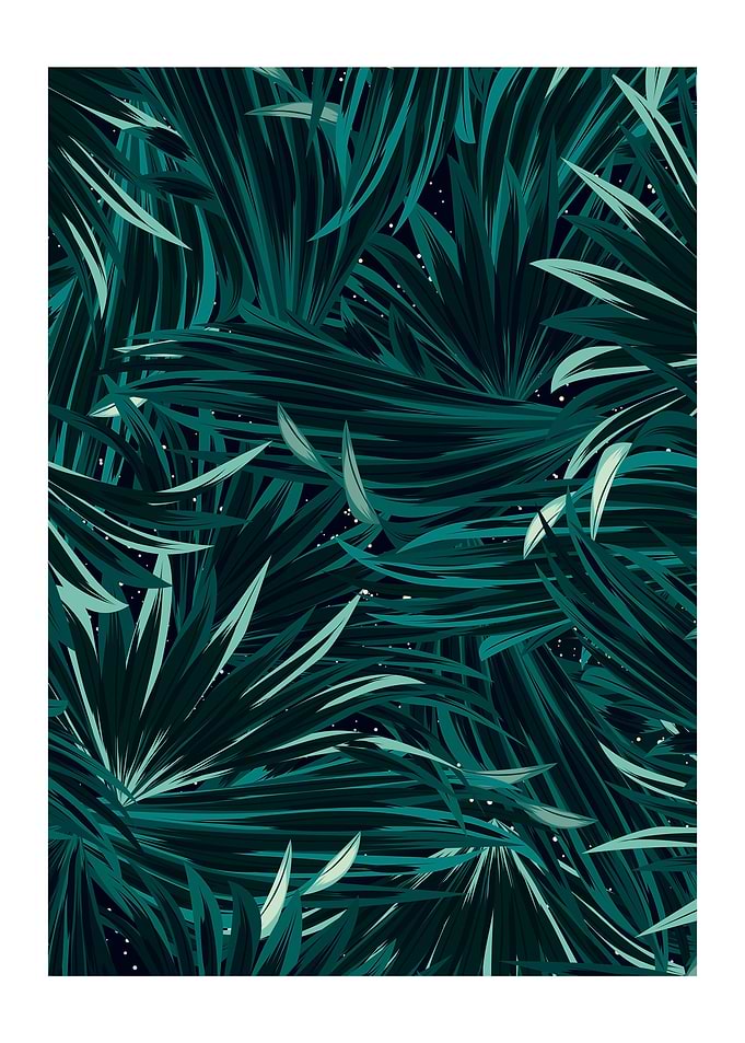 Galaxy Nature