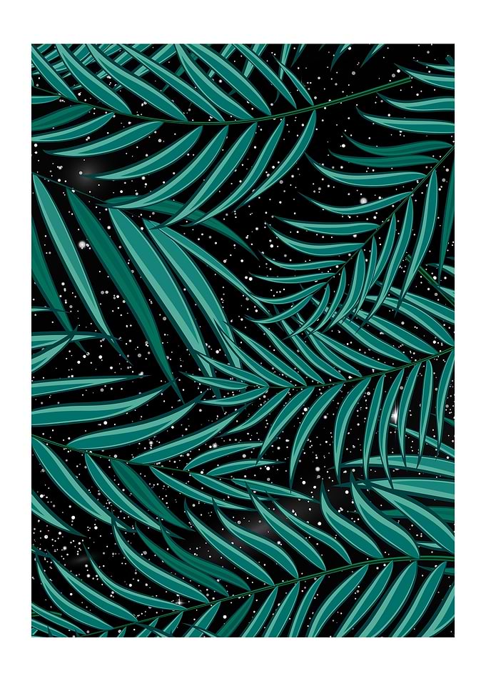 Galaxy Nature
