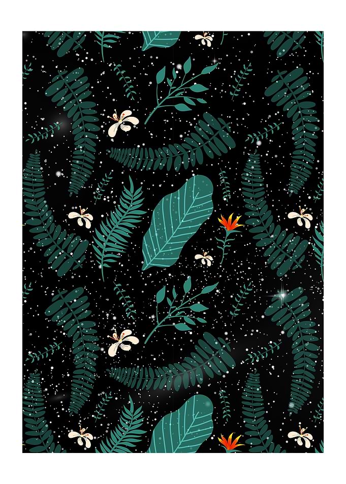 Galaxy Nature