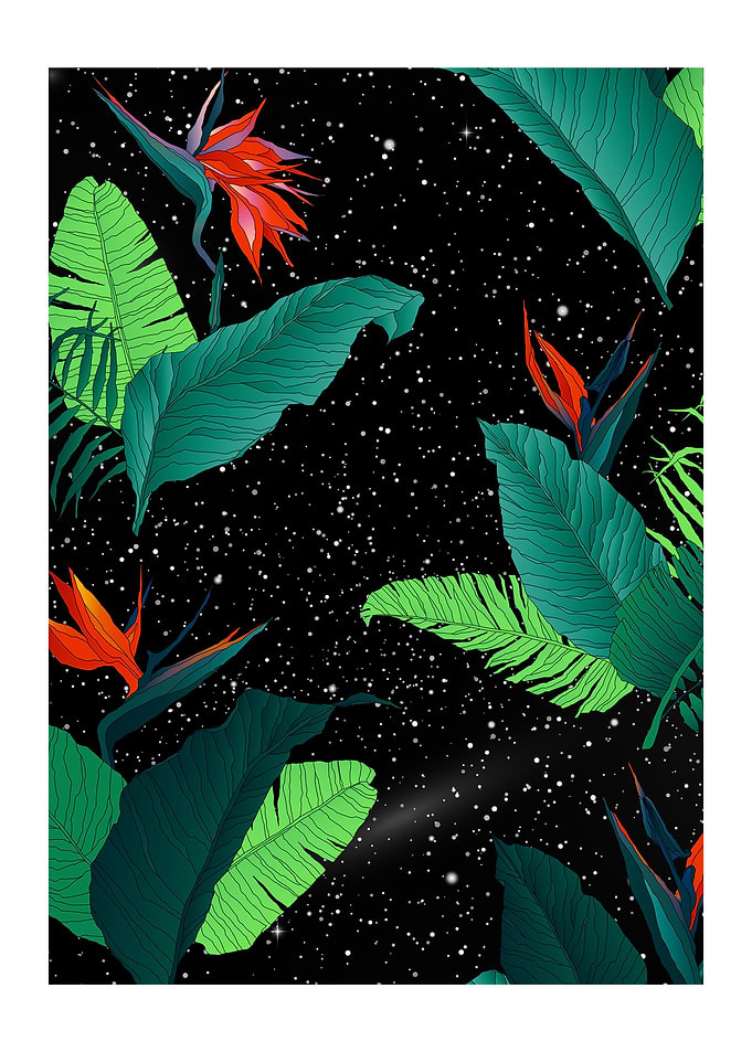 Galaxy Nature