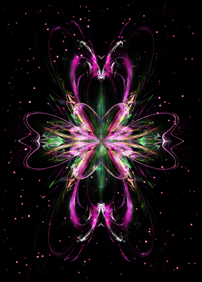 Mirrored orchid