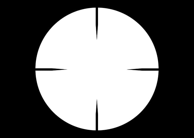 Telescopic Sight