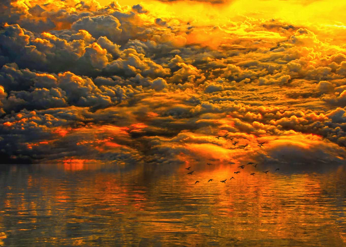 Dramatic Sky