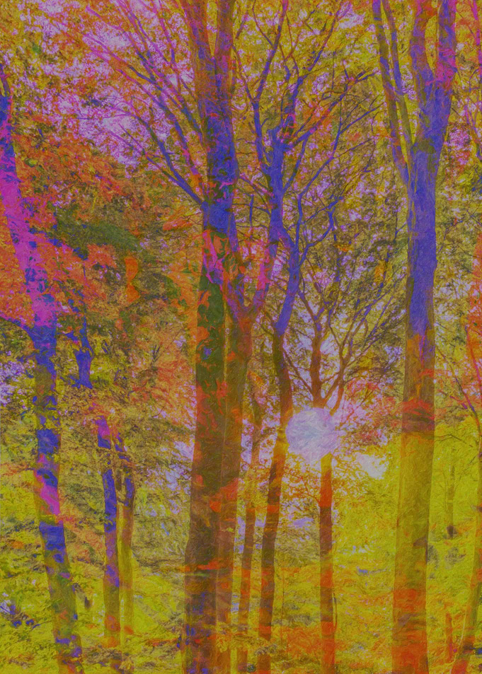 The jungle of colours