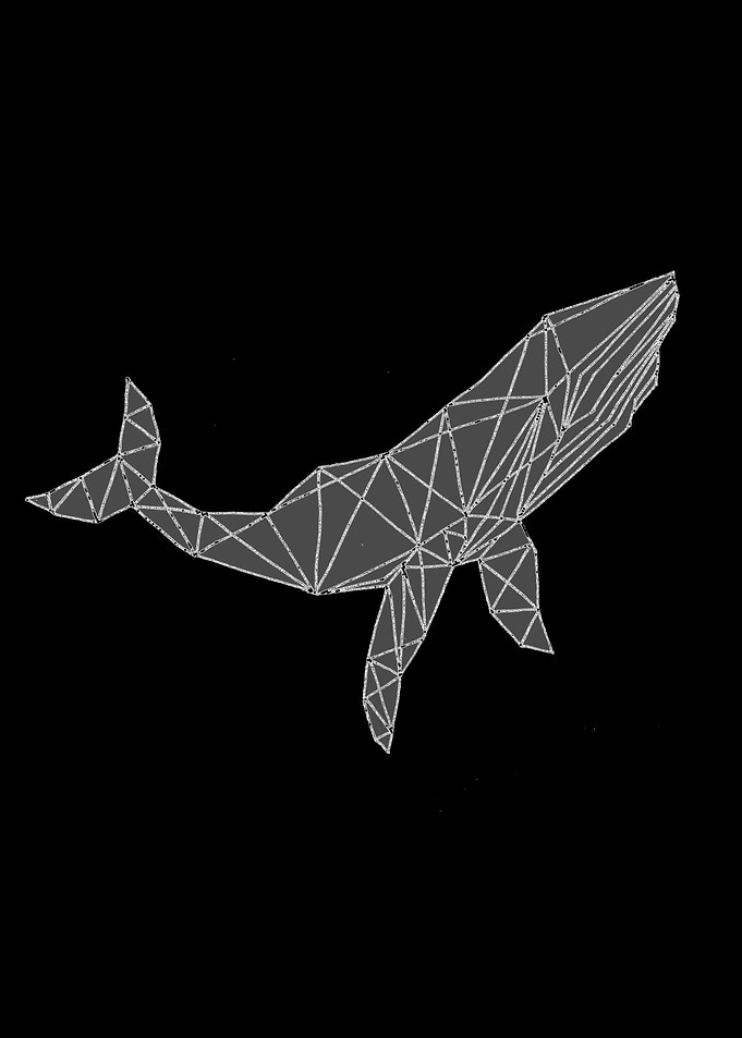 Black whale