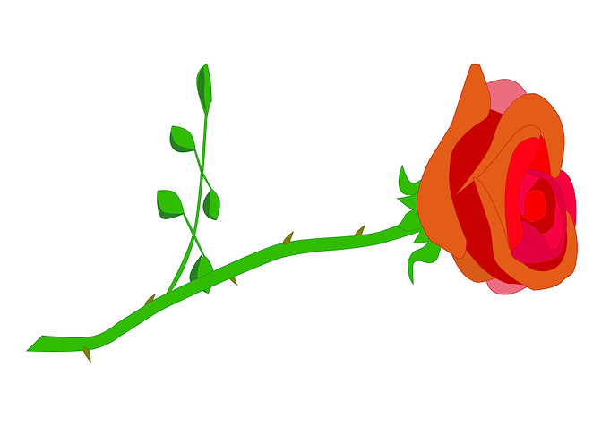 Rose