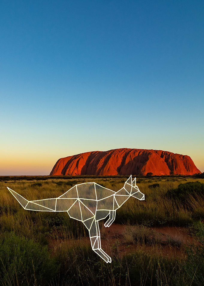 Sunset kangaroo