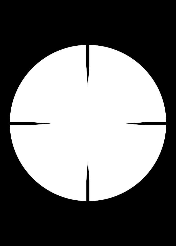 Telescopic Sight