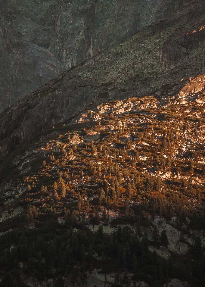Forest covered mountain
