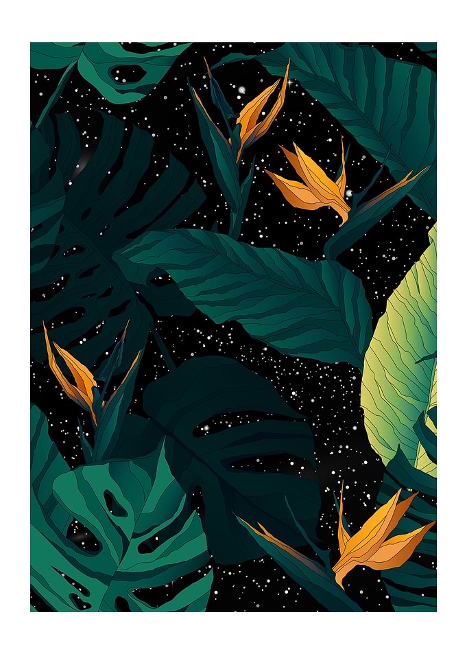 Galaxy Nature