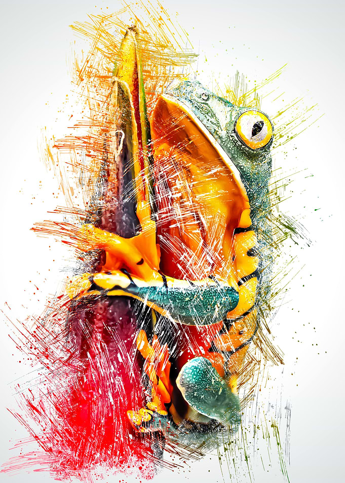 Frog