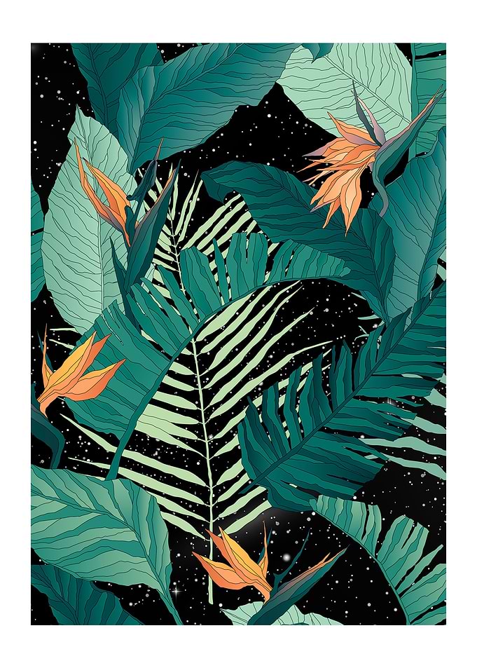 Galaxy Nature
