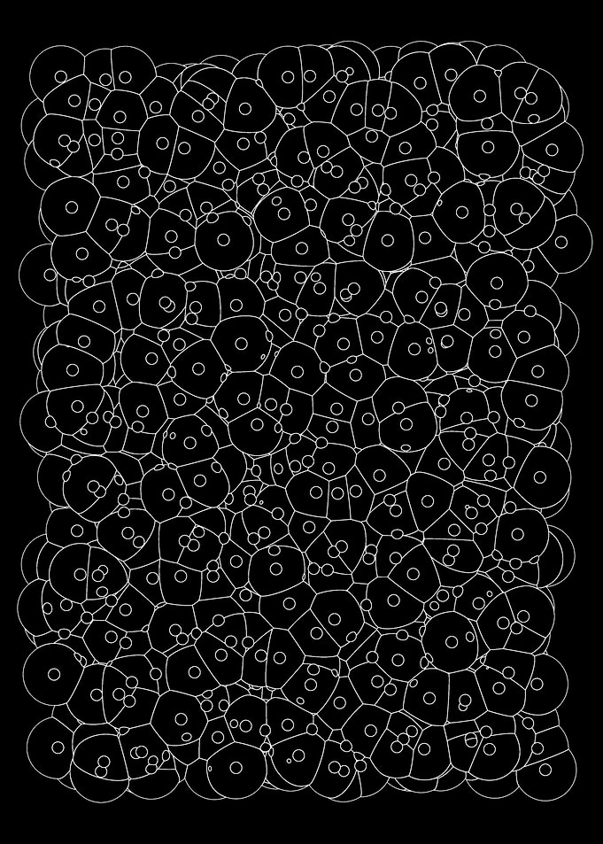 forms