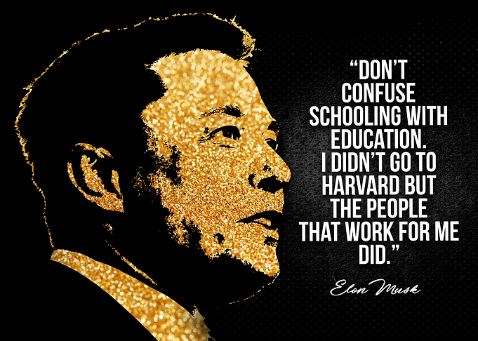 Elon Musk quote