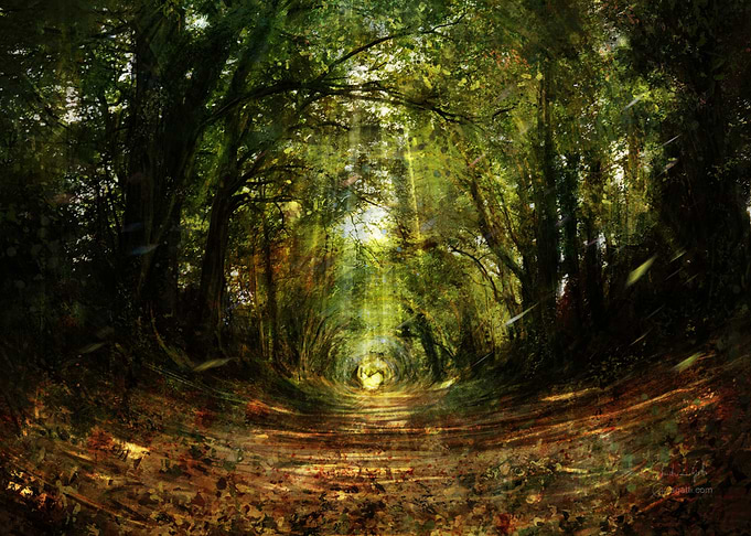 Tree Tunnel