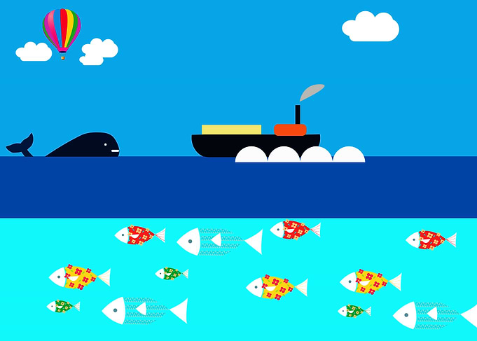 Sea and beach