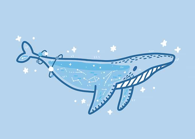 The Flying Whale