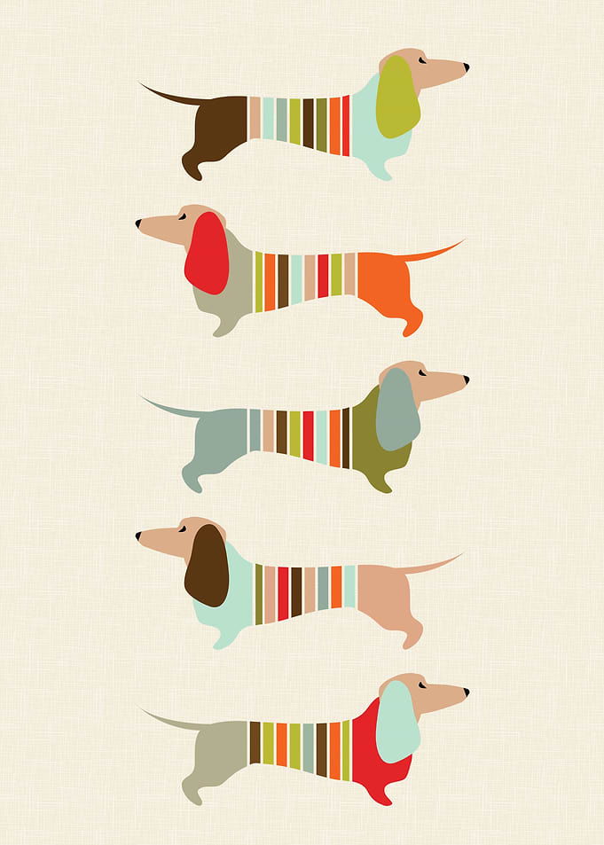 Sausage Dogs Mid Century