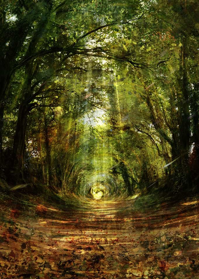 Tree Tunnel vertical
