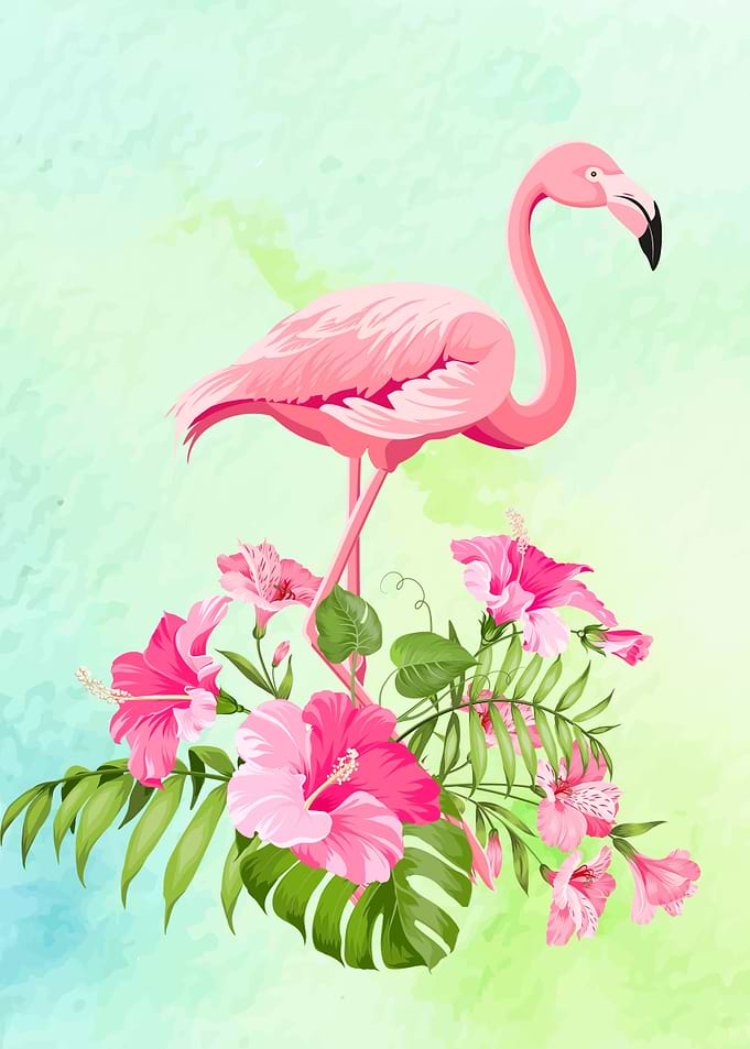 pink flamingo