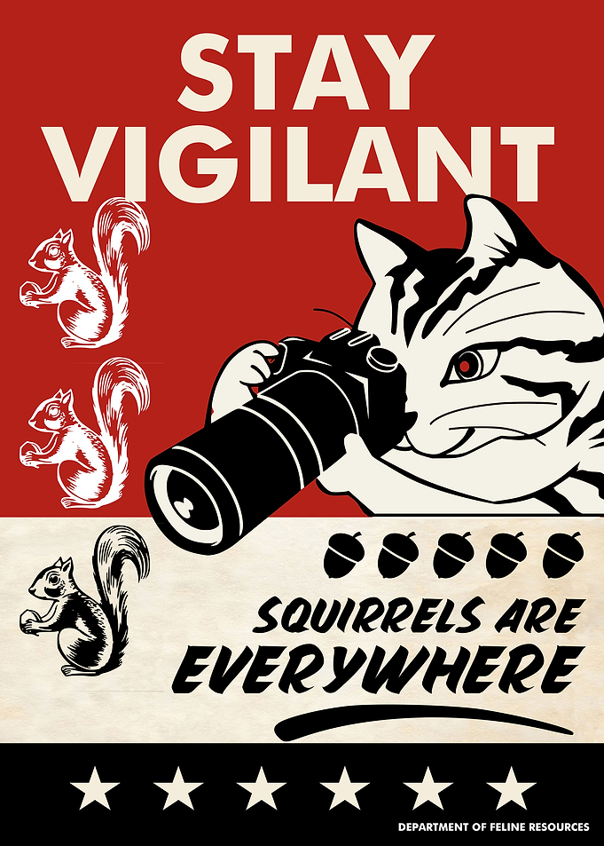 Funny Cat Squirrel