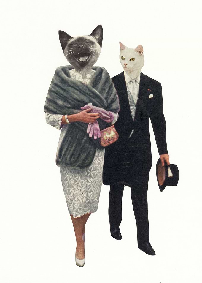 Cat Lovers