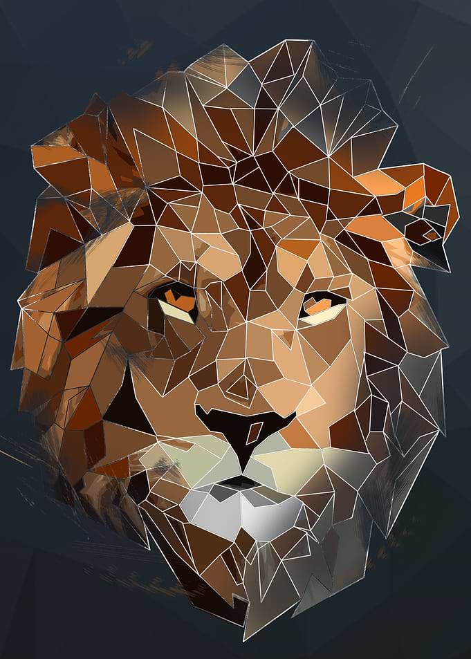 Lion Head Abstract Sketch
