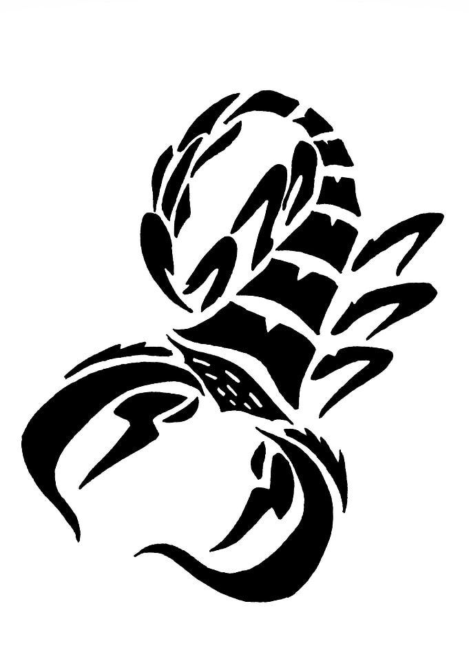 Scorpion