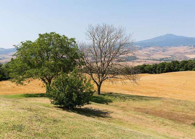Countryside in Tuscany
