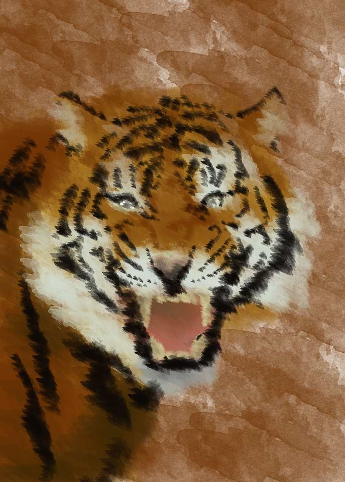the tiger