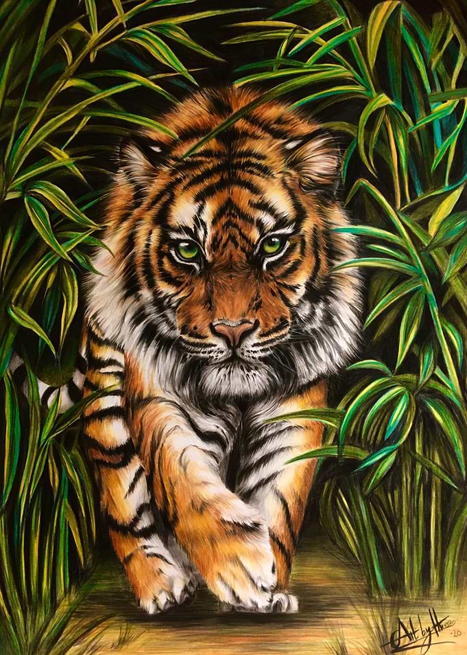 On The Prowl