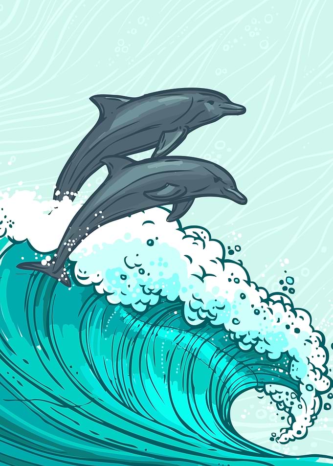 dolphins