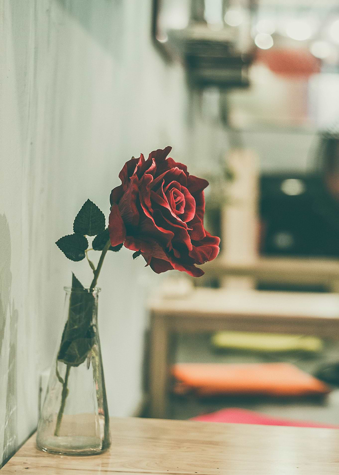 red flower