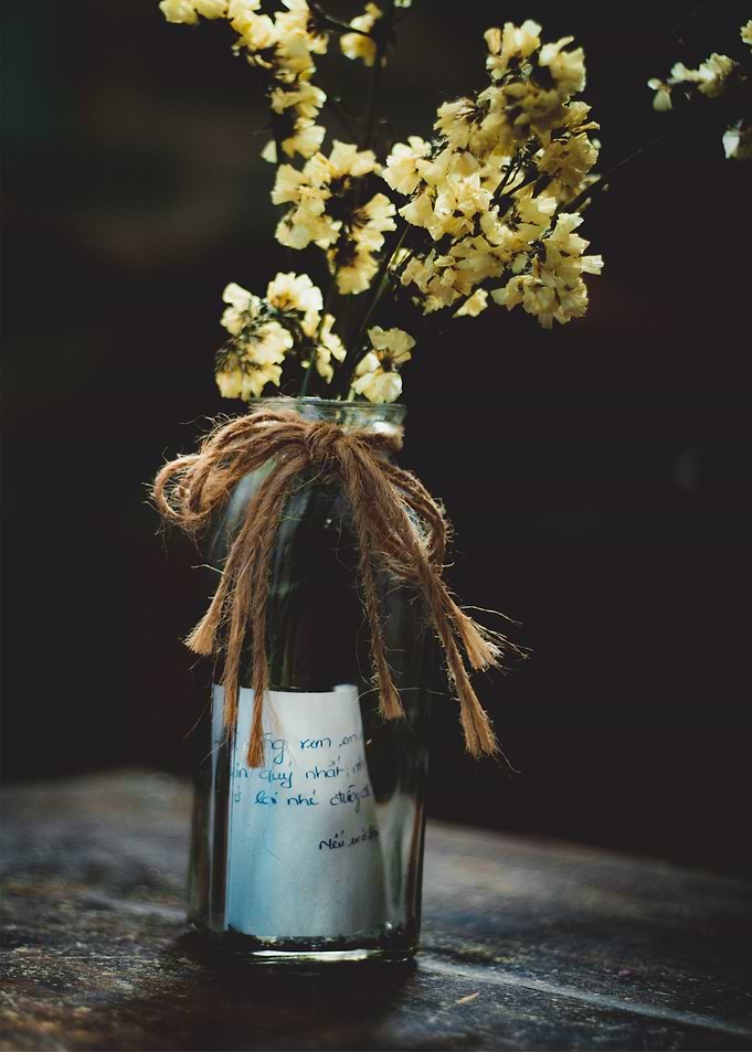 yellow flowers
