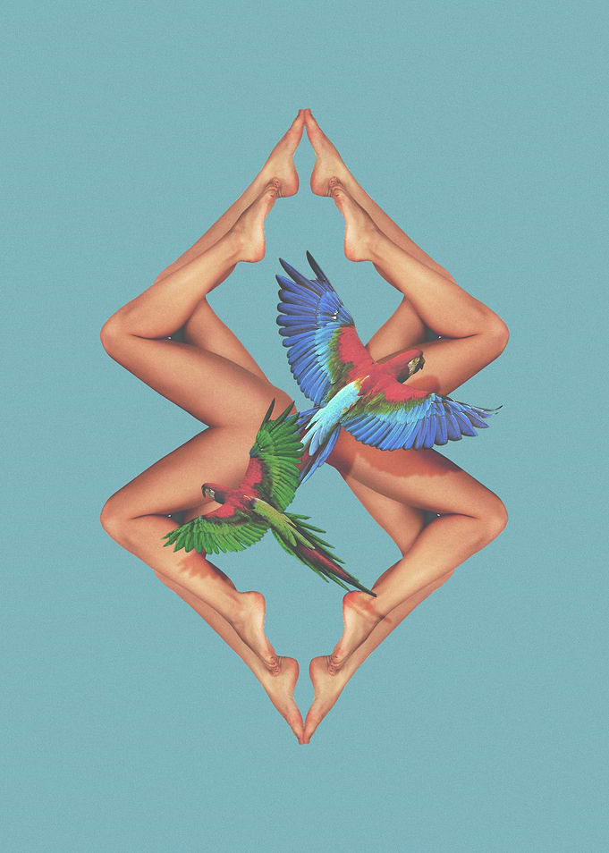 bodies
