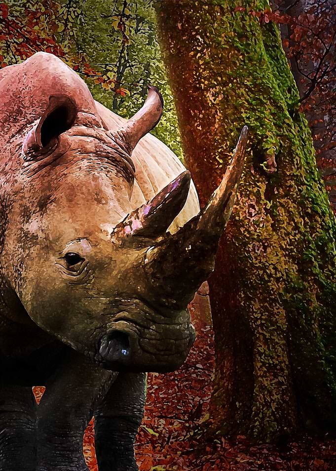 Painted Rhino in Forest